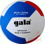 Gala Pro-Line 10 röplabda BV5581S